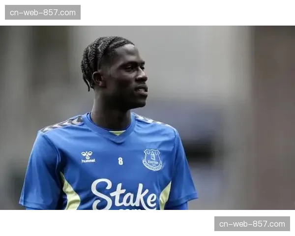 数据分析：OPTA模型预测英超降级概率，埃弗顿仍最危险